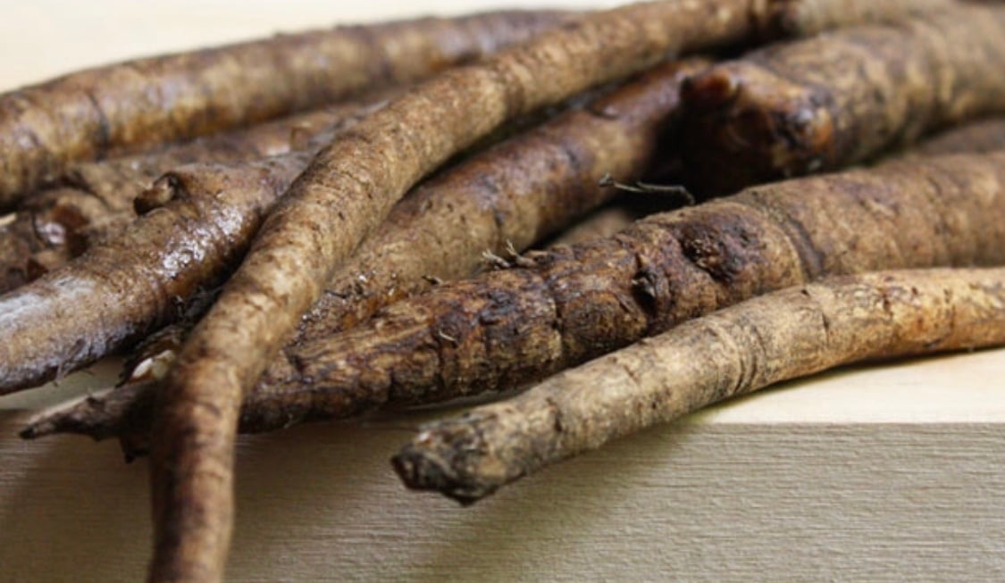Raw Burdock Root (Organic) $12.00 Per (1) Large Root.
